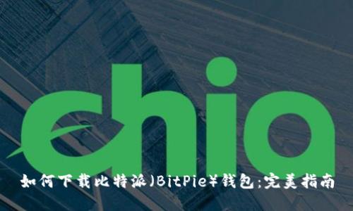 如何下载比特派（BitPie）钱包：完美指南
