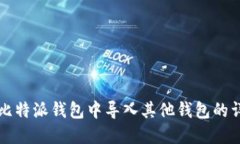 如何在比特派钱包中导入其他钱包的详细指南