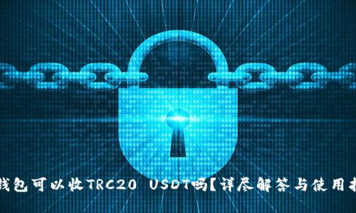 冷钱包可以收TRC20 USDT吗？详尽解答与使用指南