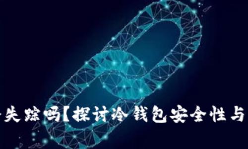 冷钱包会失踪吗？探讨冷钱包安全性与管理常识