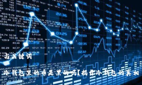 与关键词

冷钱包里的币是黑的吗？揭开冷钱包的真相