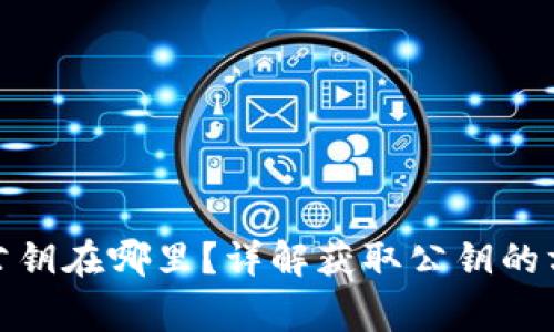 : 以太坊钱包公钥在哪里？详解获取公钥的方法及注意事项