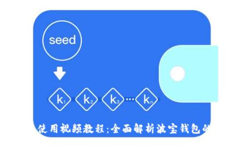 波宝钱包使用视频教程：全面解析波宝钱包的使用方法