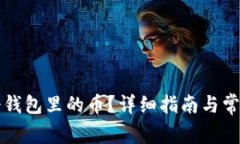 怎么查看冷钱包里的币？详细指南与常见问题解