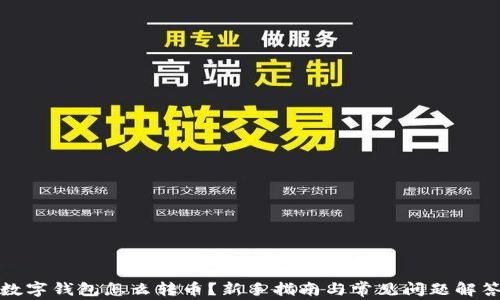 
数字钱包怎么转币？新手指南与常见问题解答