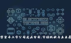 数字货币上市公司龙头分析：市场现状与未来展