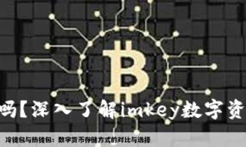 imkey是冷钱包吗？深入了解imkey数字资产安全解决方案