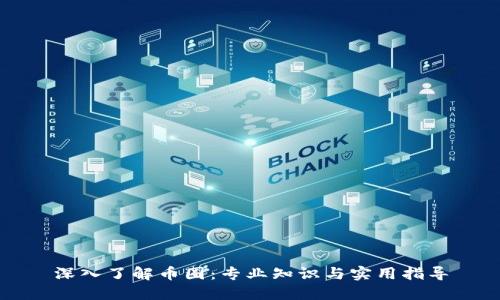 深入了解币圈：专业知识与实用指导