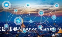 深入了解BSC钱包：连接Binance Smart Chain的最佳选择