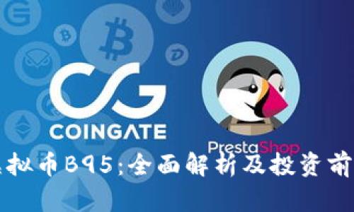 虚拟币B95：全面解析及投资前景