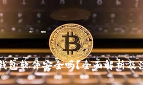 虚拟币钱包软件安全吗？全面解析及注意事项