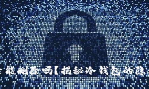 冷钱包记录能删除吗？揭秘冷钱包的隐私与安全性