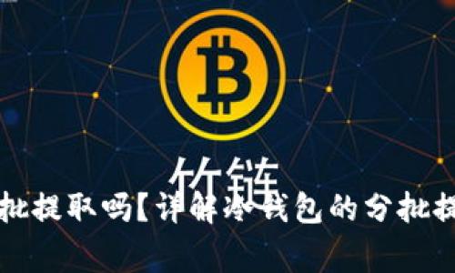 冷钱包提币可以分批提取吗？详解冷钱包的分批提币方法与注意事项